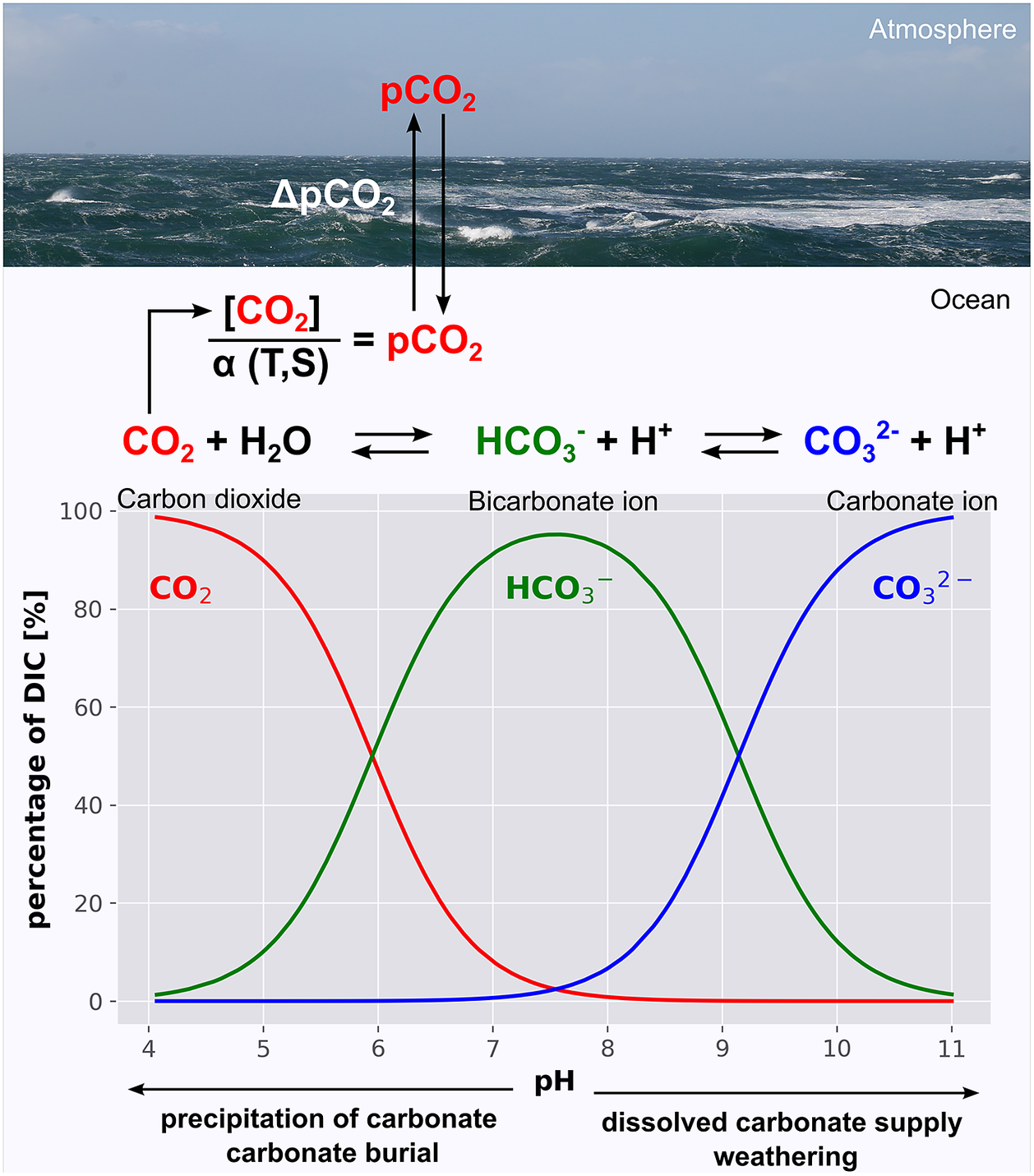 Past changes in and present status of the coastal carbon cycle ...