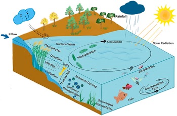 A review of wind-driven hydrodynamics in large shallow lakes ...