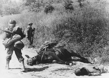 Triumph and Dishonor in Italy (Chapter 3) - Resistance and Liberation