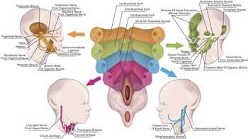 Figure 39
