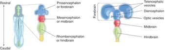 Figure 41