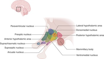 Figure 25