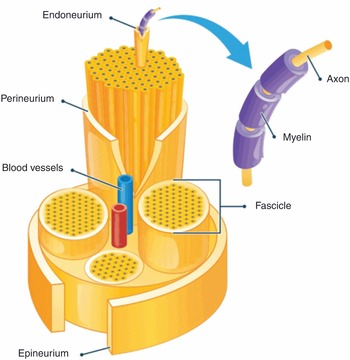 Figure 35