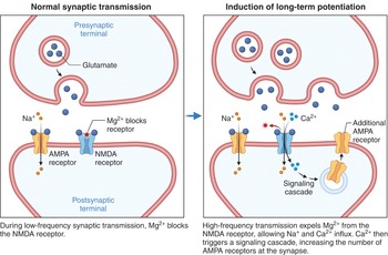 Figure 23