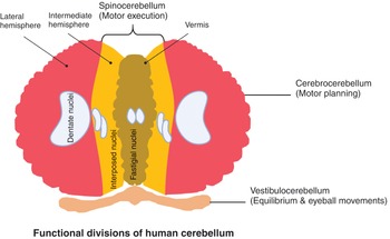 Figure 31