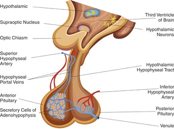 Figure 26