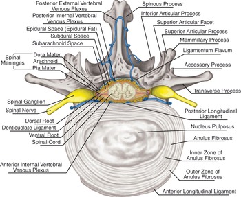 Figure 34
