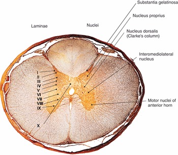 Figure 37
