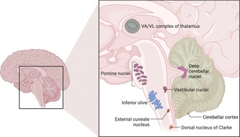 Figure 32