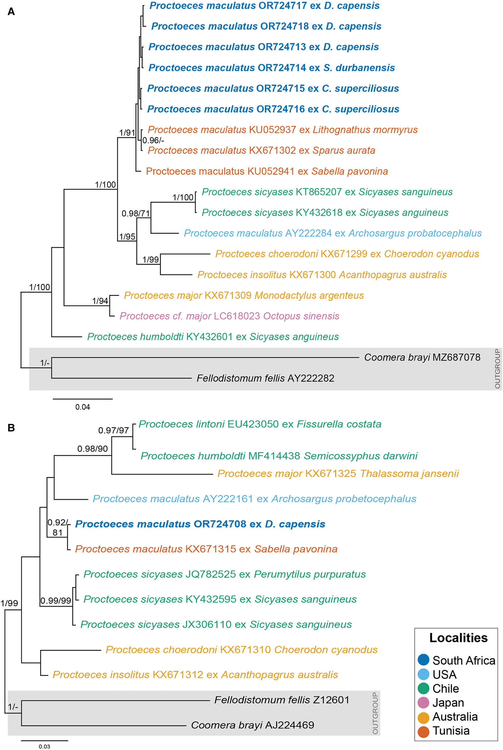 Novel insights into the genetics, morphology, distribution and hosts of ...