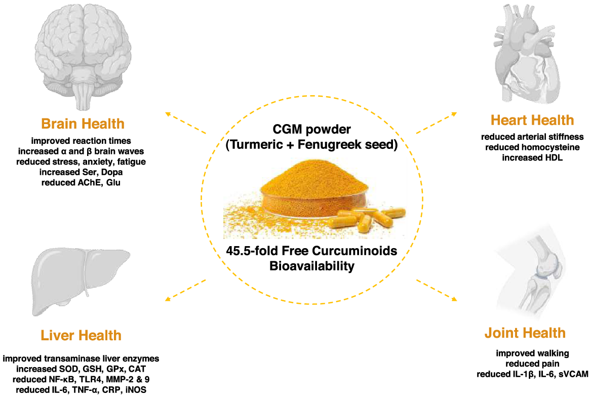 Review: bioavailability and efficacy of ‘free’ curcuminoids from ...