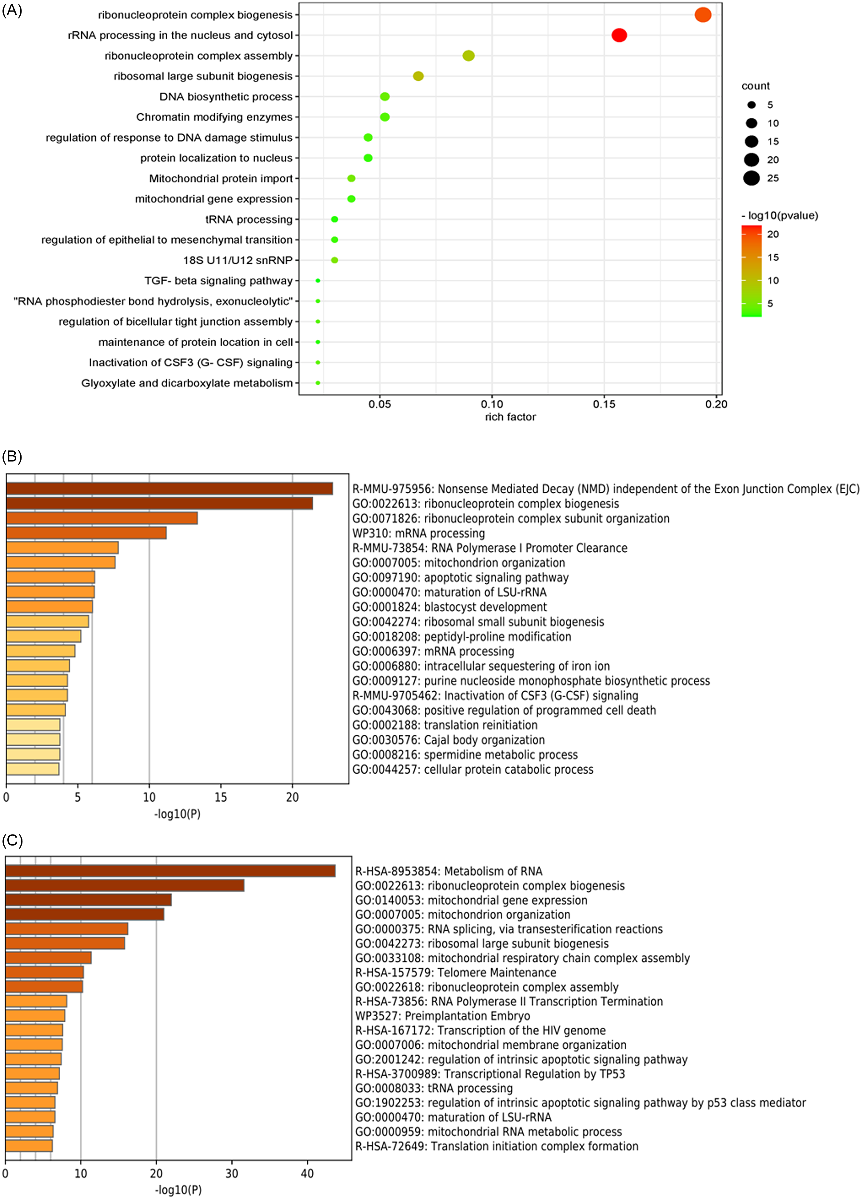 The identification and classification of candidate genes during the ...