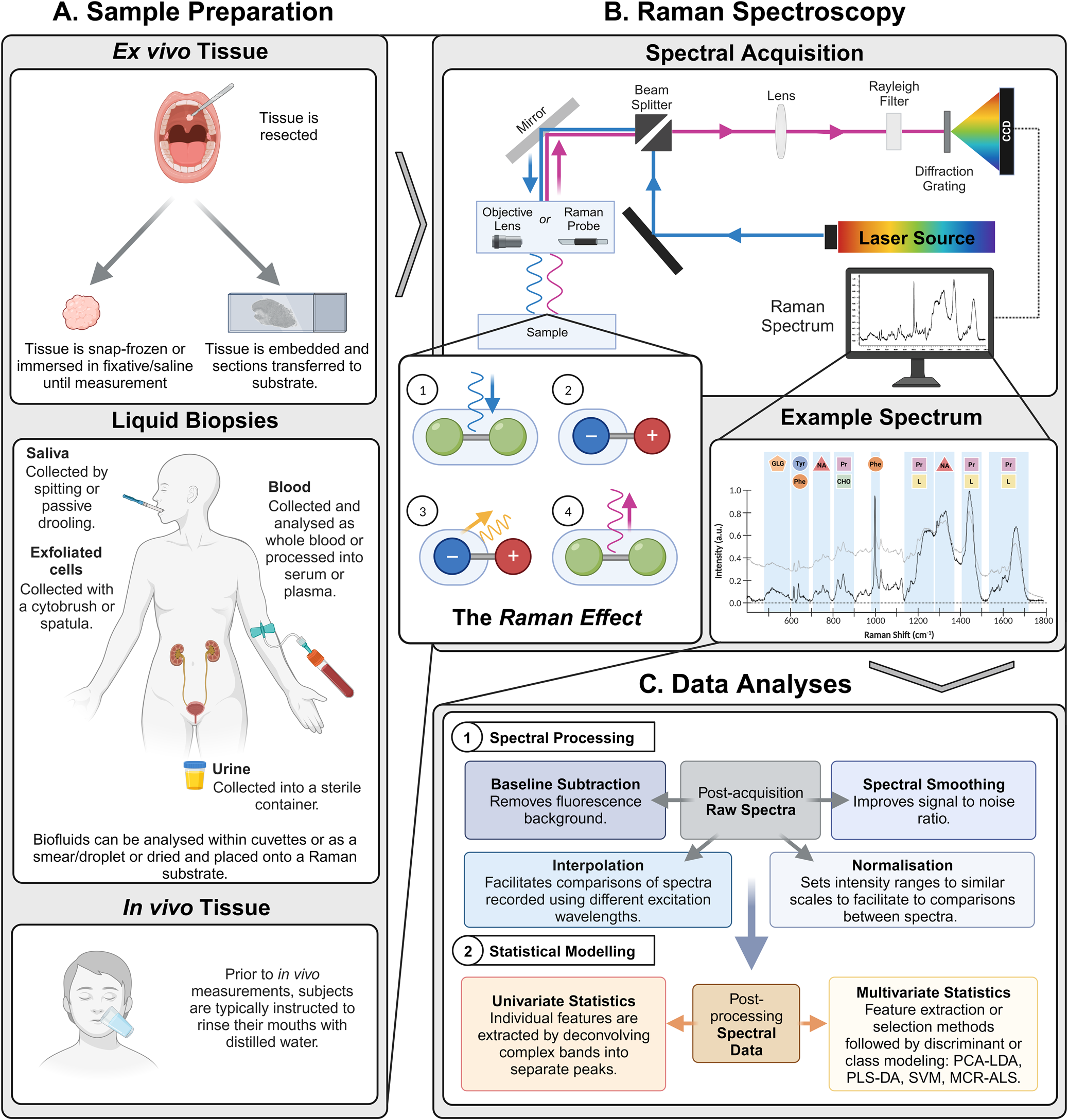 Advances in Raman spectroscopy for characterising oral cancer and oral ...