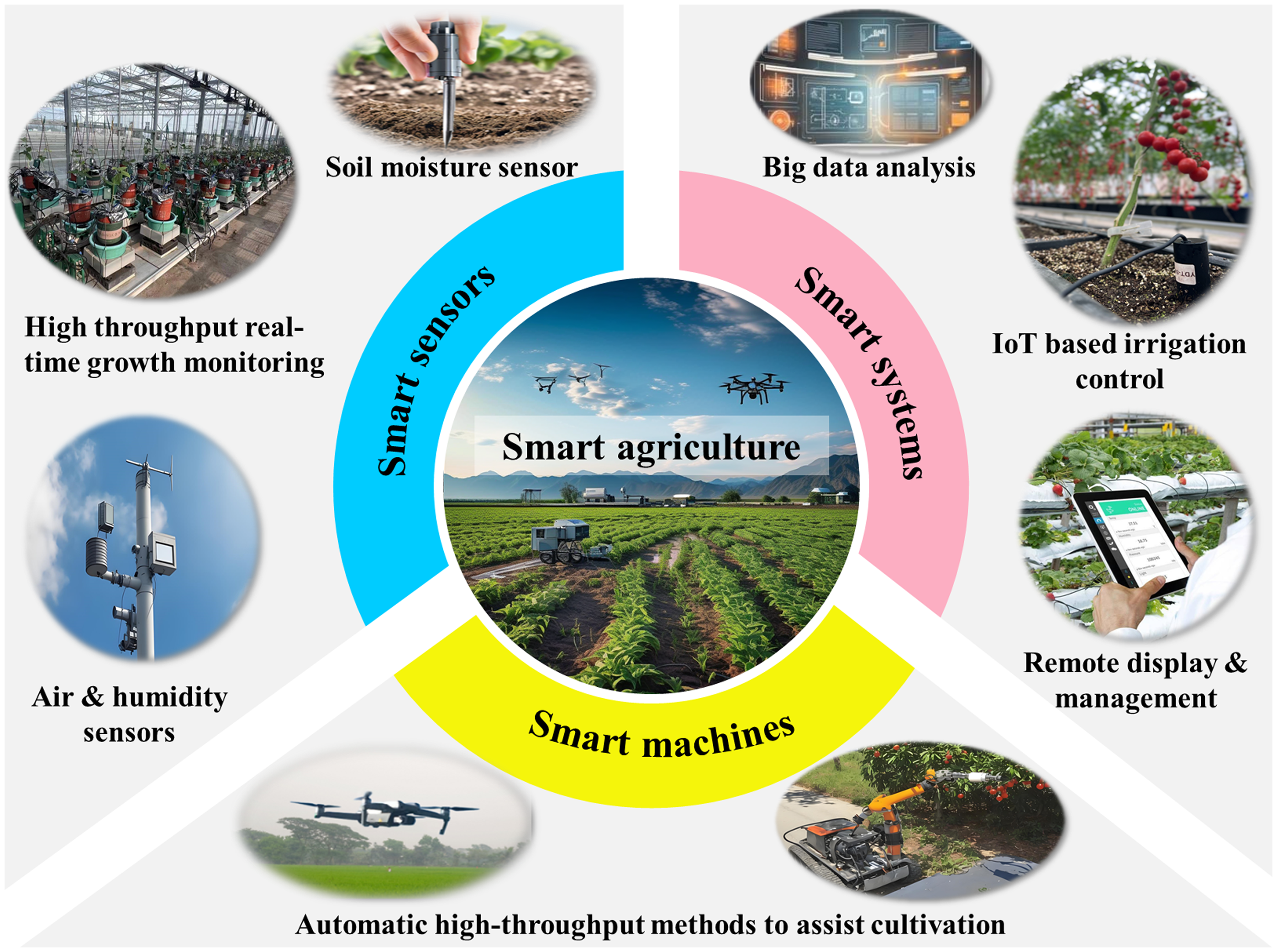 The rise of smart agriculture in China: current situation and ...