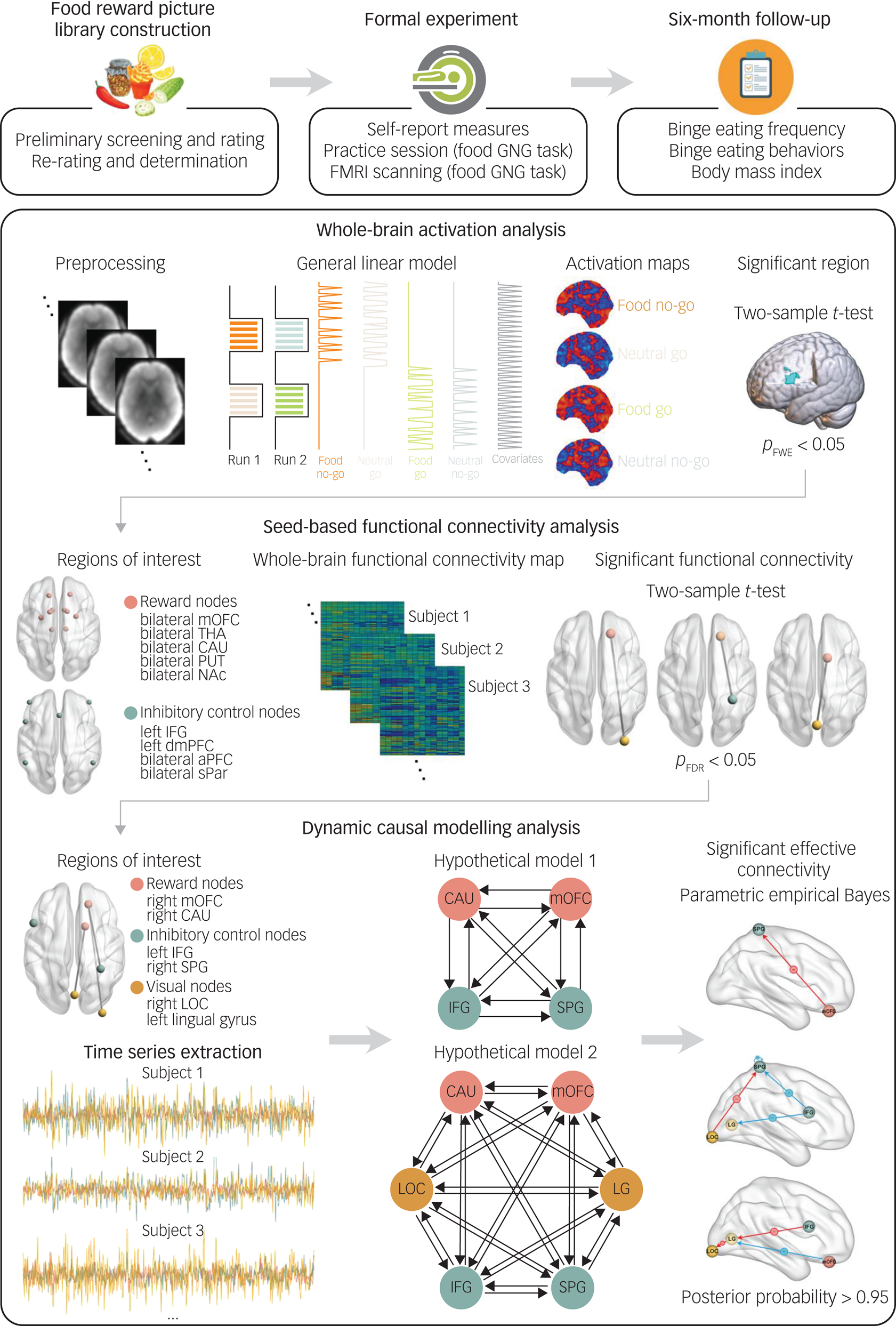 Functional and effective connectivity between reward and inhibitory ...