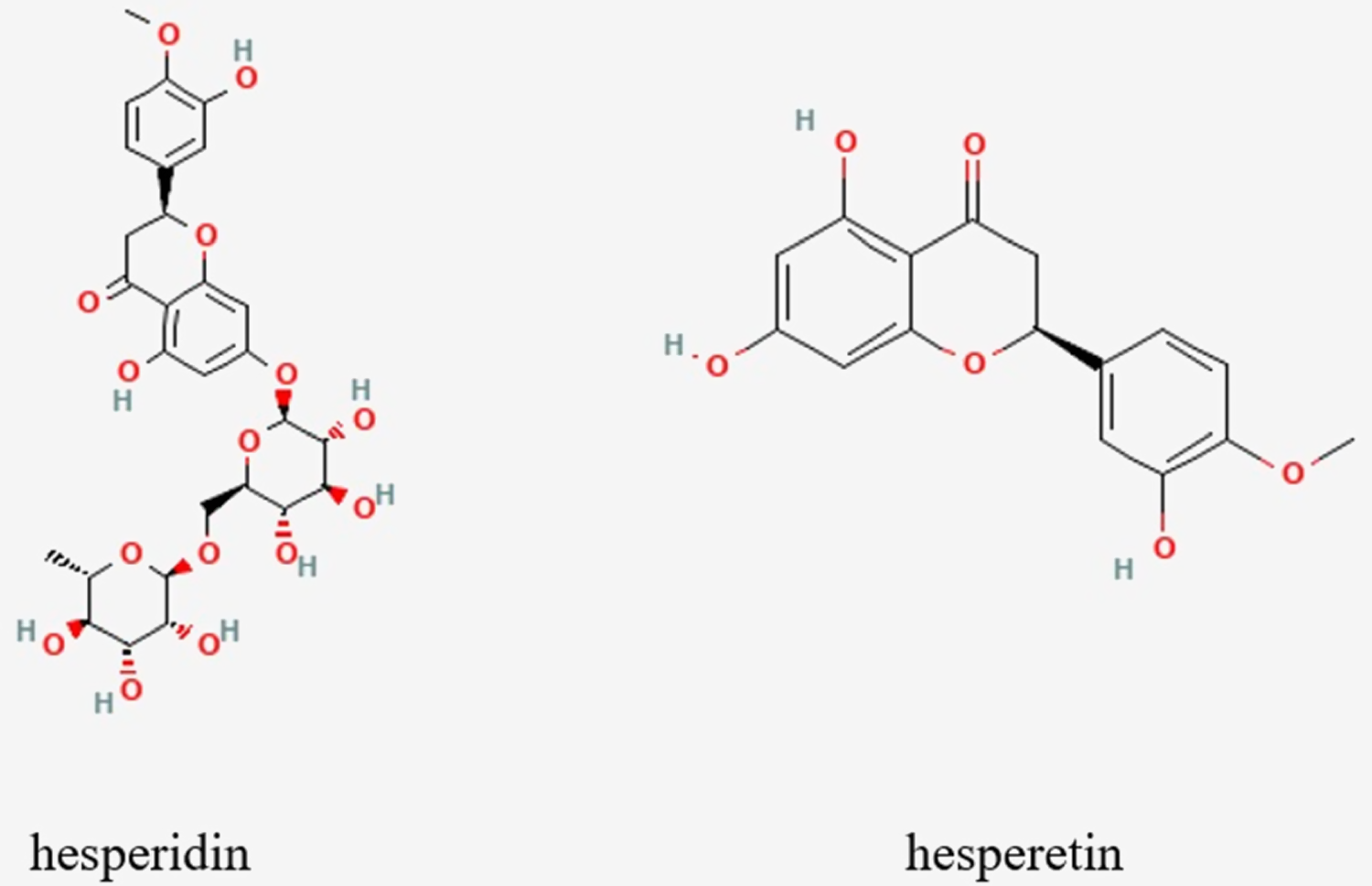 A comprehensive review on the impact of hesperidin and its aglycone ...