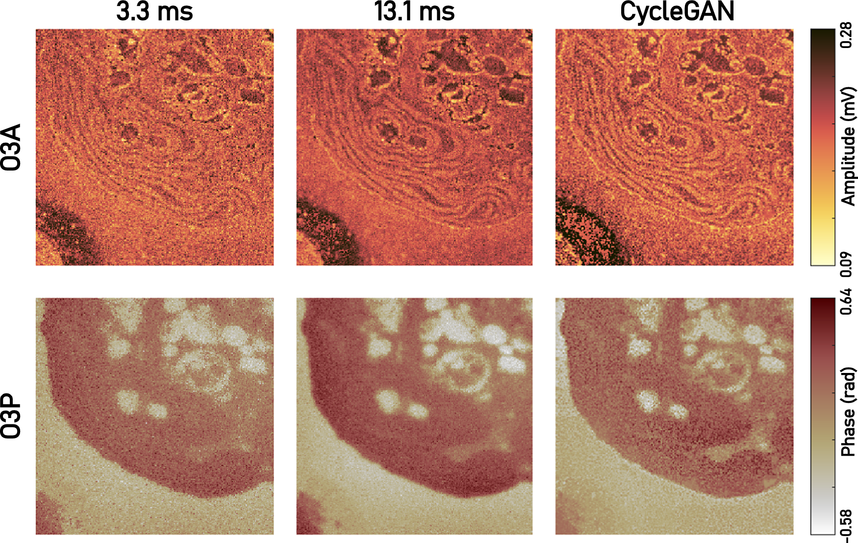 Infrared nanoscopy for subcellular chemical imaging | QRB Discovery ...