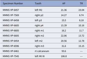 Figure 17