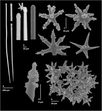 Figure 17