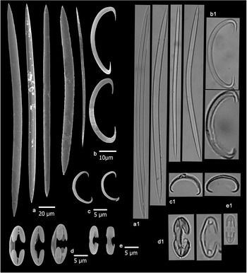 Figure 11