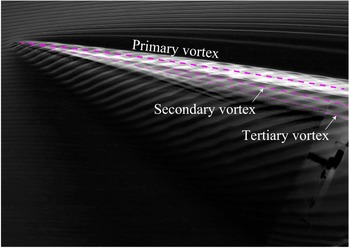 Figure 21