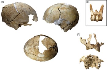 Figure 5