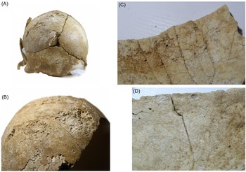 Figure 6