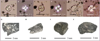 Figure 10