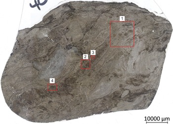 Figure 9