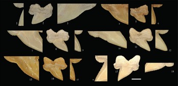 Figure 9