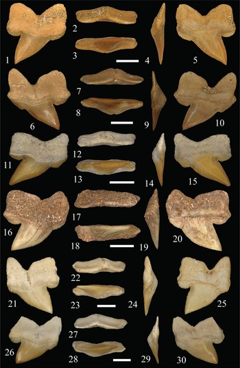 Figure 5
