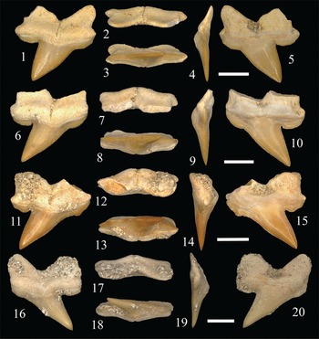 Figure 6