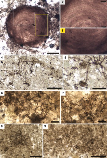 Figure 10