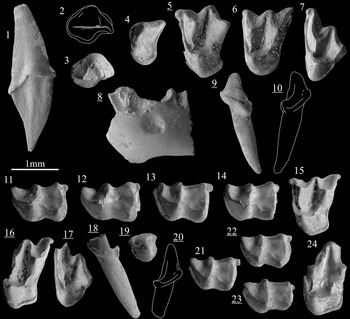 Figure 3