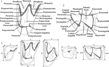 Figure 2