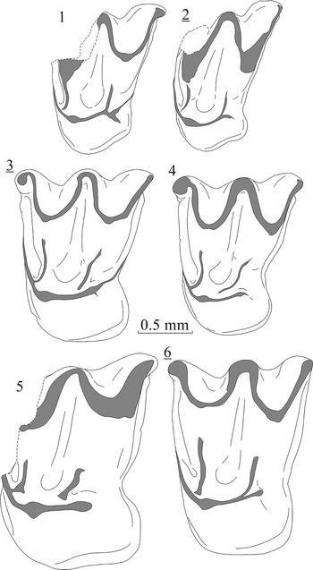 Figure 7