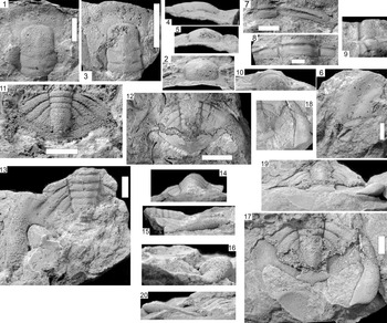 Figure 15