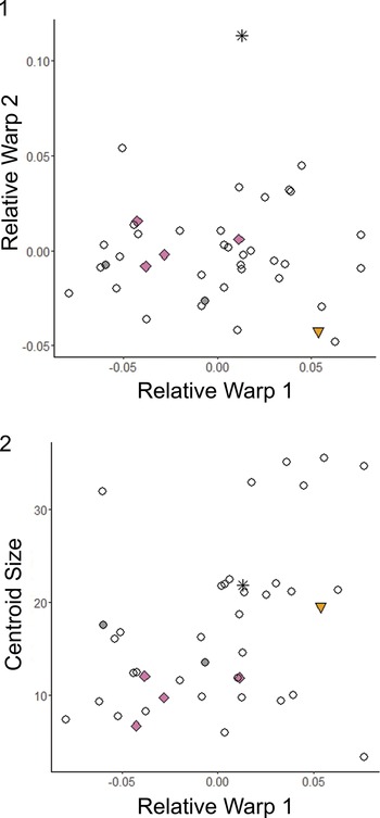 Figure 30