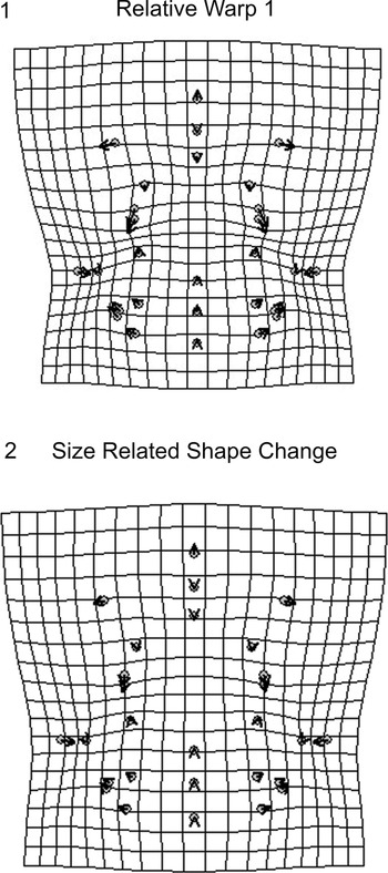Figure 26