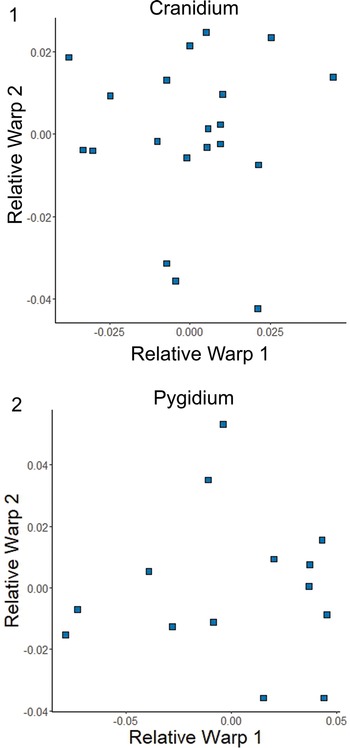 Figure 21