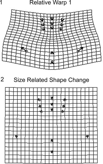 Figure 28