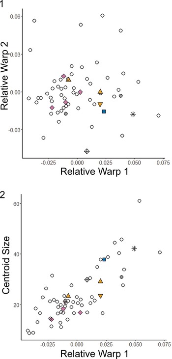 Figure 29