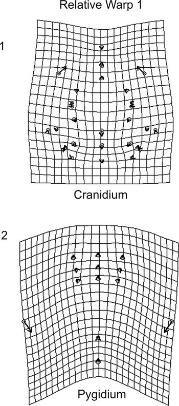 Figure 23