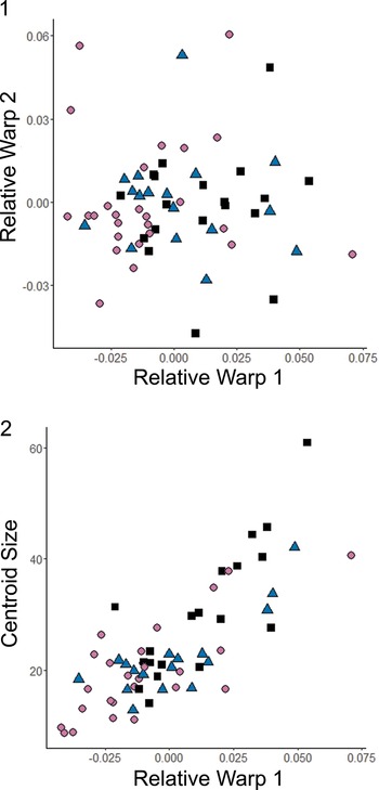 Figure 32