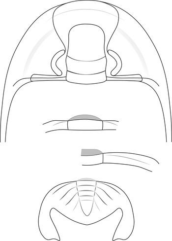 Figure 16