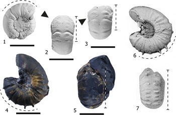 Figure 9