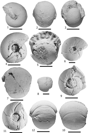 Figure 11