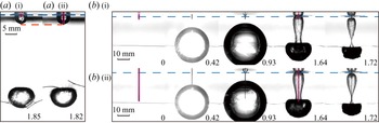 Figure 23