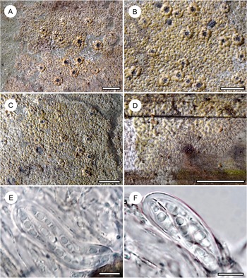 Figure 23