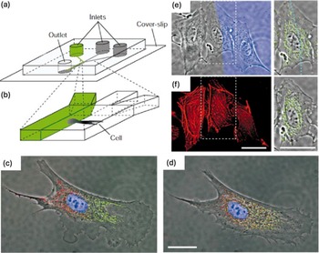 Figure 12